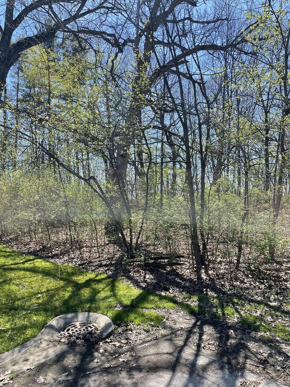 1 Acre of Residential Land for Sale in Cedar Lake, Indiana