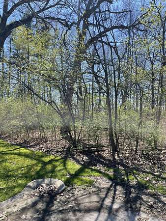 1 Acre of Residential Land for Sale in Cedar Lake, Indiana