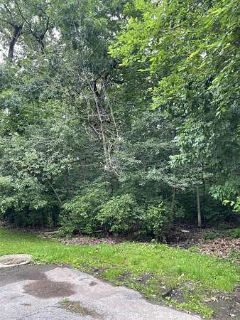 1 Acre of Residential Land for Sale in Cedar Lake, Indiana