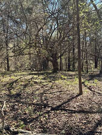 31 Acres of Recreational Land for Sale in Tyler, Texas