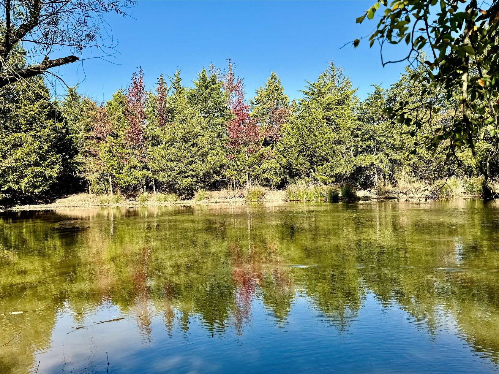 42.8 Acres of Land for Sale in Pickton, Texas