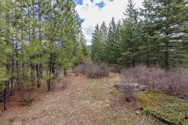 10 Acres of Residential Land for Sale in Elk, Washington