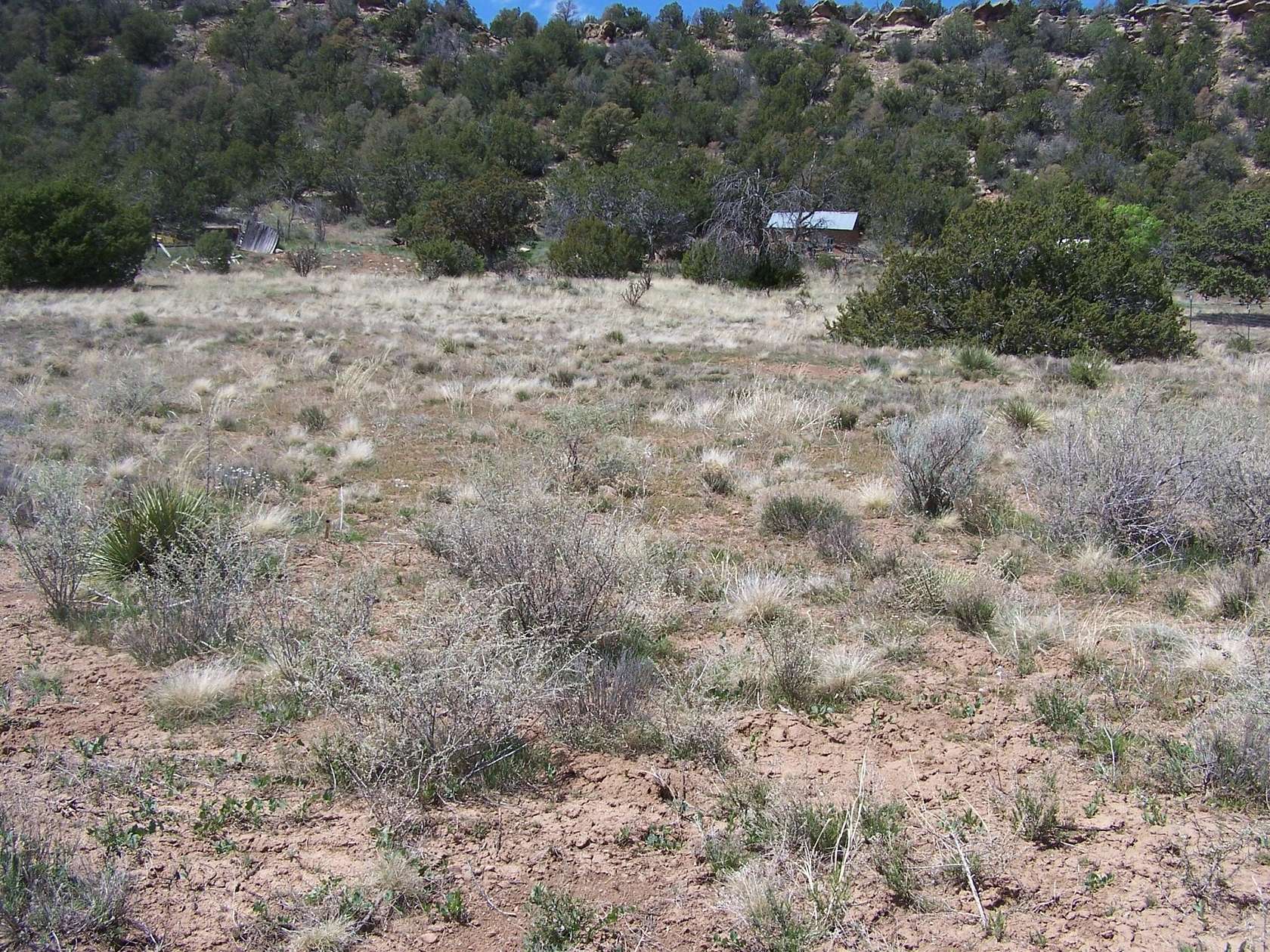 3.4 Acres of Land for Sale in Tijeras, New Mexico