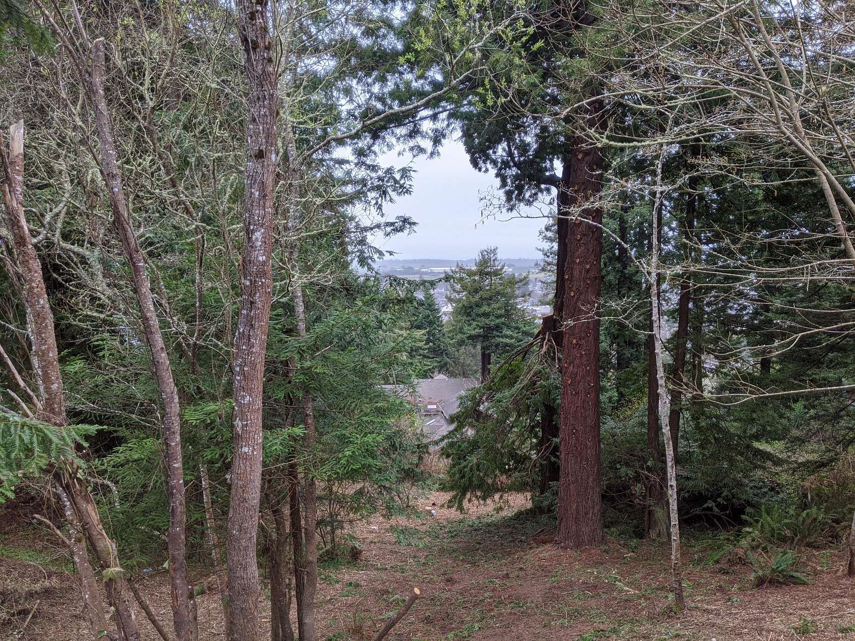 0.4 Acres of Residential Land for Sale in Arcata, California