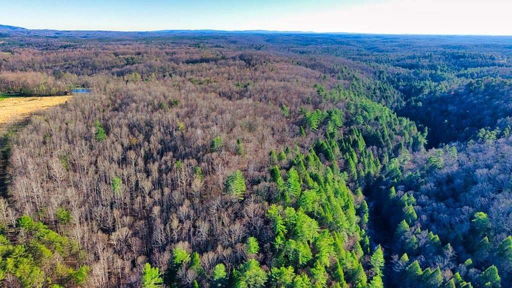 17.7 Acres of Recreational & Residential Land for Sale in Sunbright, Tennessee