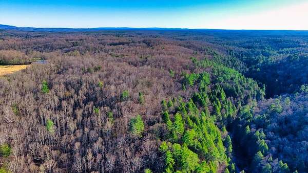 17.7 Acres of Recreational & Residential Land for Sale in Sunbright, Tennessee