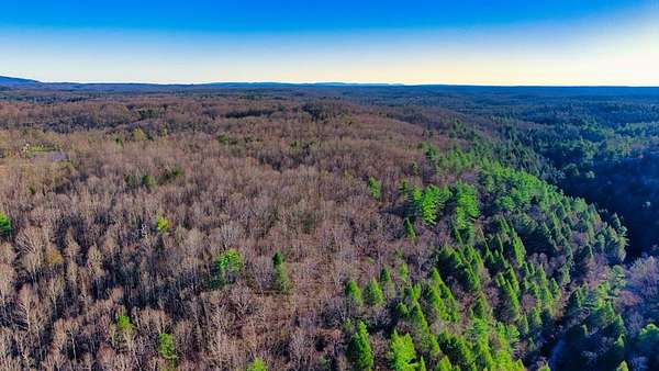 16.6 Acres of Recreational & Residential Land for Sale in Sunbright, Tennessee