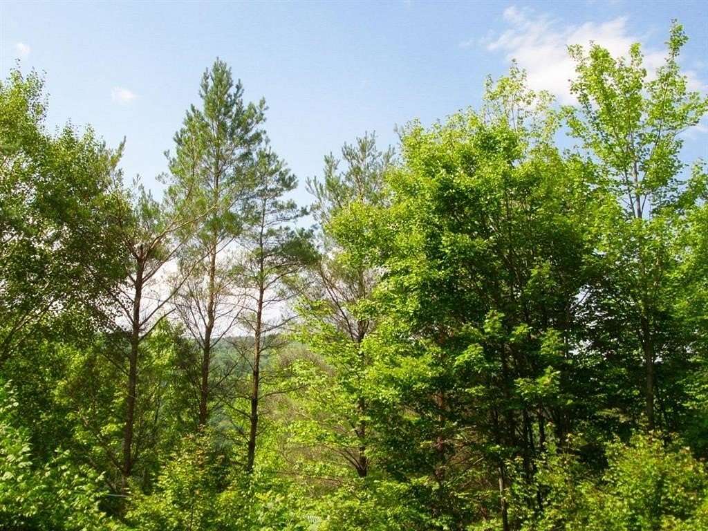 13.4 Acres of Recreational Land for Sale in Roxbury, New York