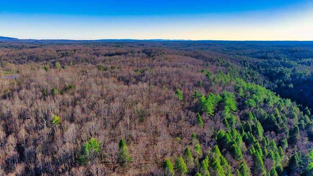 16 Acres of Recreational & Residential Land for Sale in Sunbright, Tennessee
