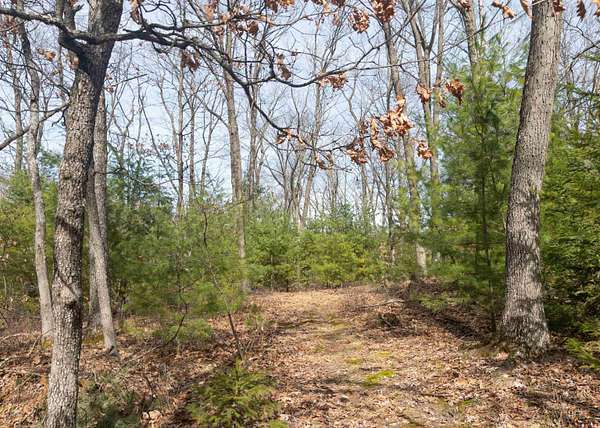 9.87 Acres of Residential Land for Sale in Coloma, Wisconsin