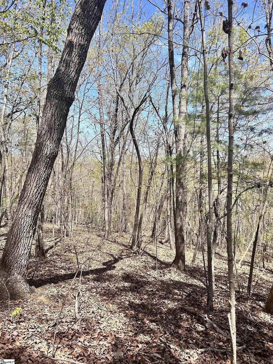 54.7 Acres of Land for Sale in Travelers Rest, South Carolina