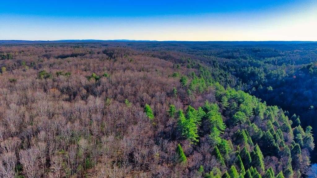 17 Acres of Recreational & Residential Land for Sale in Sunbright, Tennessee