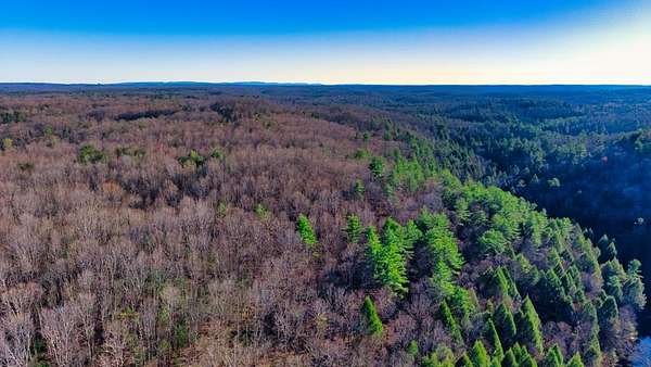 17 Acres of Recreational & Residential Land for Sale in Sunbright, Tennessee