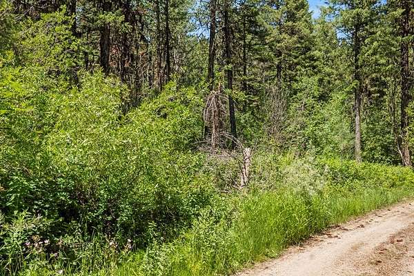 0.59 Acres of Land for Sale in Cascade, Idaho