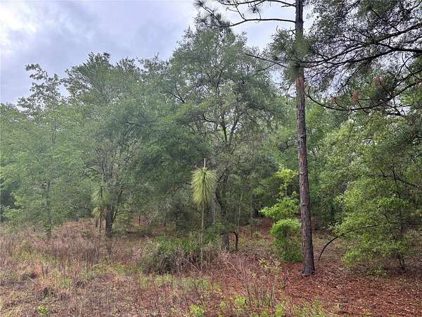 0.25 Acres of Residential Land for Sale in Ocala, Florida