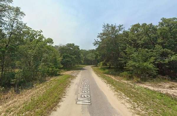 0.37 Acres of Residential Land for Sale in Ocklawaha, Florida