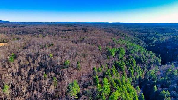 17 Acres of Recreational & Residential Land for Sale in Sunbright, Tennessee