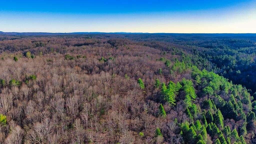 15.2 Acres of Recreational & Residential Land for Sale in Sunbright, Tennessee
