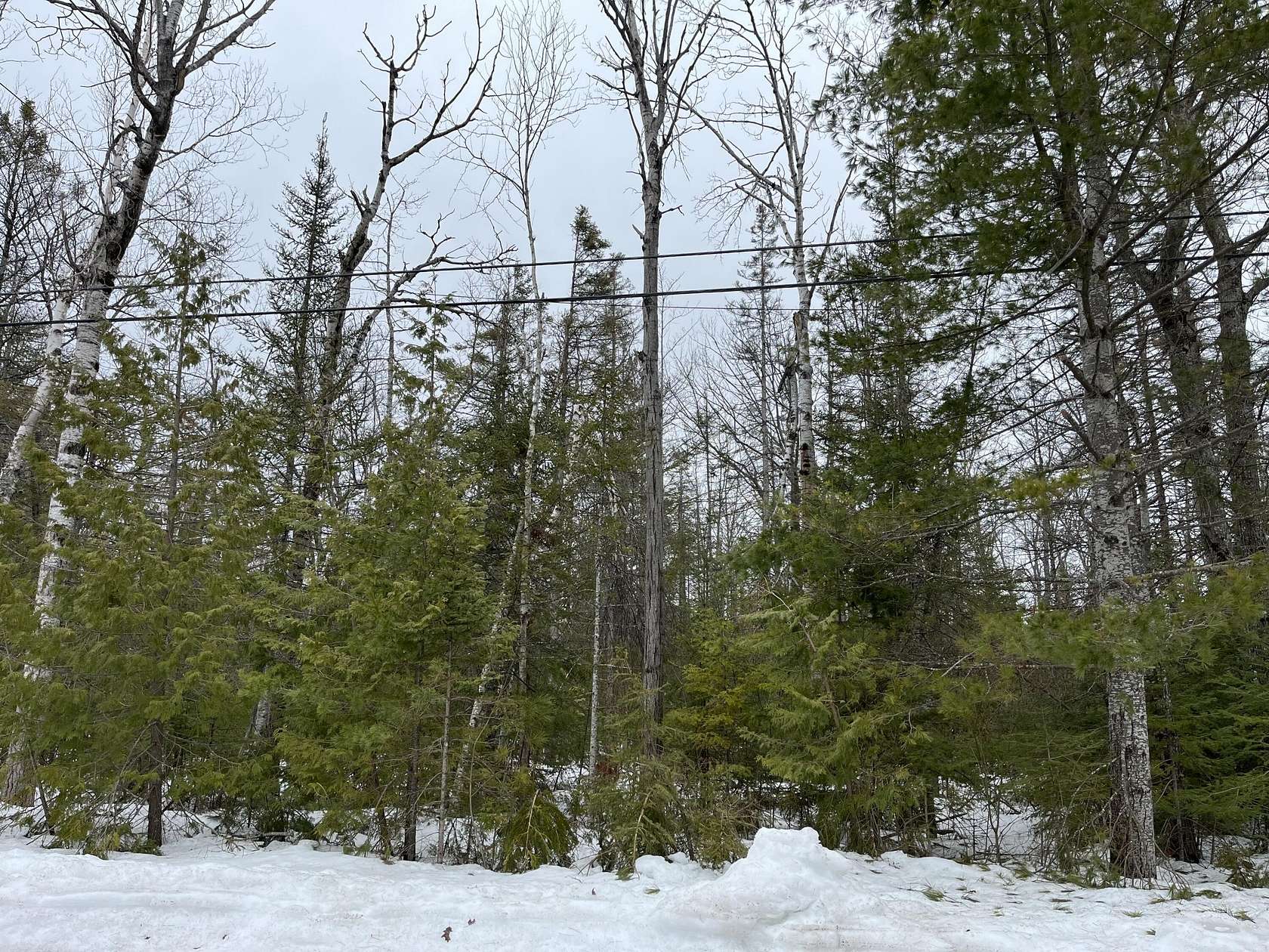 0.39 Acres of Residential Land for Sale in Presque Isle, Michigan