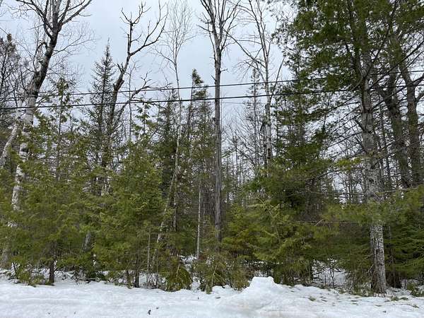 0.39 Acres of Residential Land for Sale in Presque Isle, Michigan