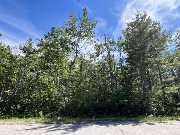 0.39 Acres of Residential Land for Sale in Presque Isle, Michigan