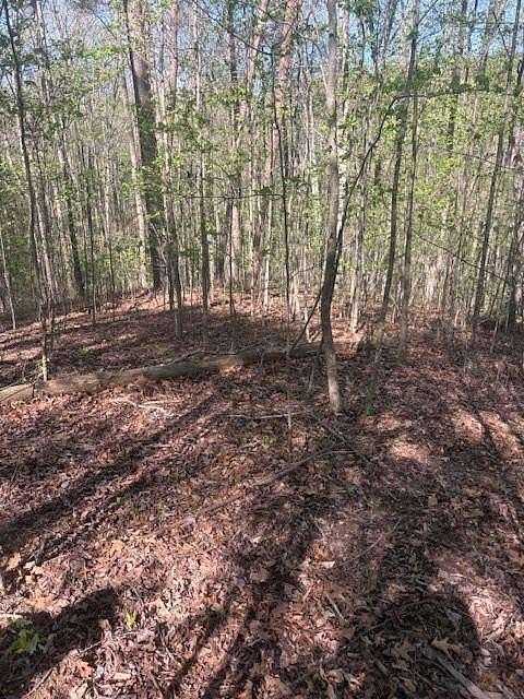 2 Acres of Residential Land for Sale in Talking Rock, Georgia