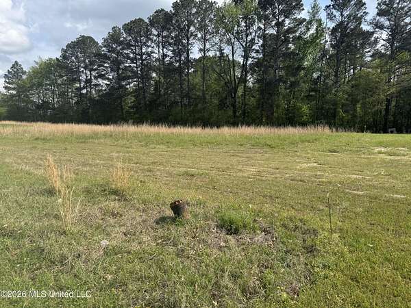 1.4 Acres of Commercial Land for Sale in Pearl, Mississippi