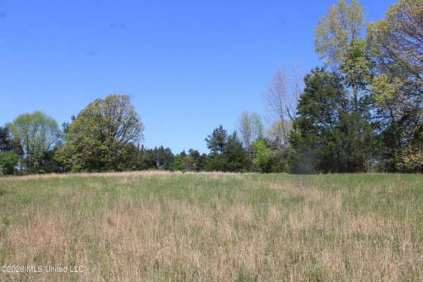 21.1 Acres of Land for Sale in Holly Springs, Mississippi