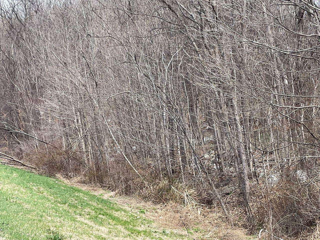 11.7 Acres of Land for Auction in East Fishkill, New York