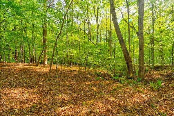 4.24 Acres of Residential Land for Sale in Gainesville, Georgia