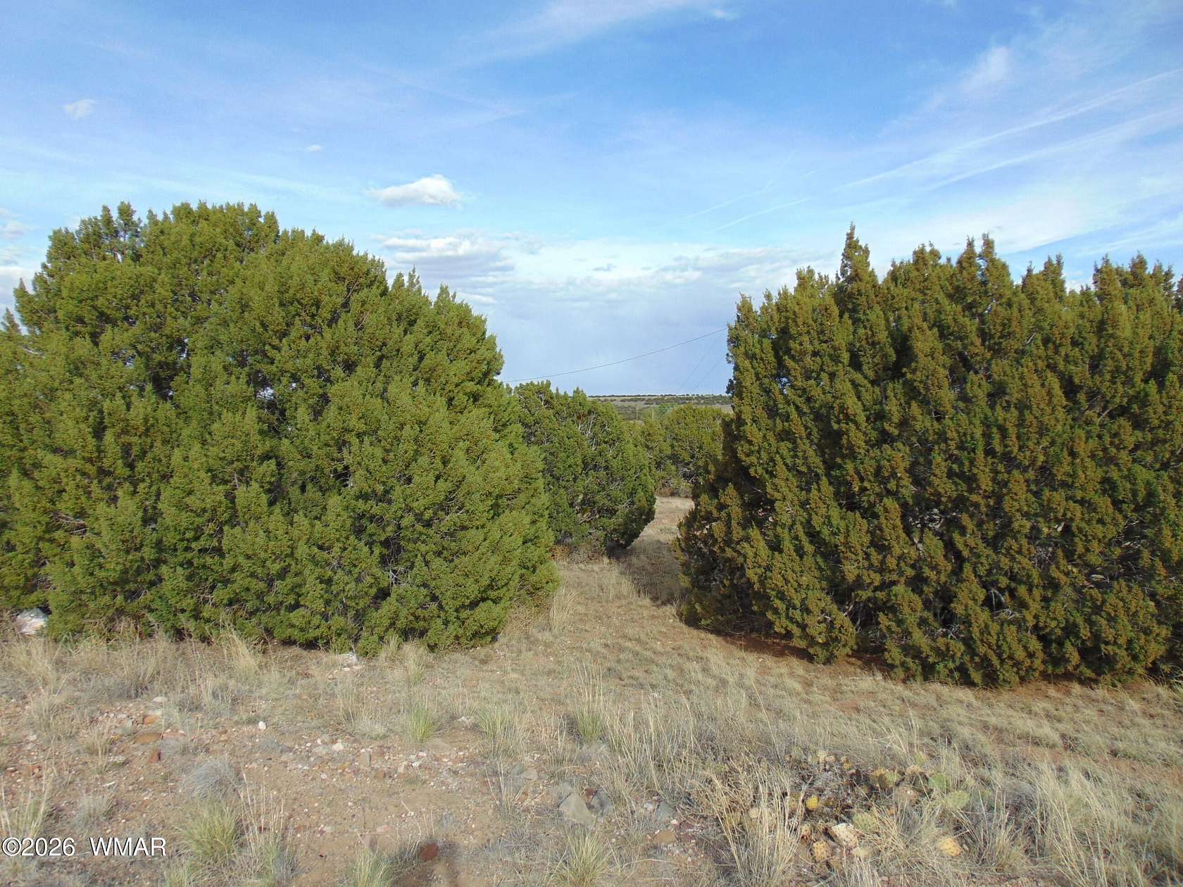 0.52 Acres of Residential Land for Sale in Concho, Arizona