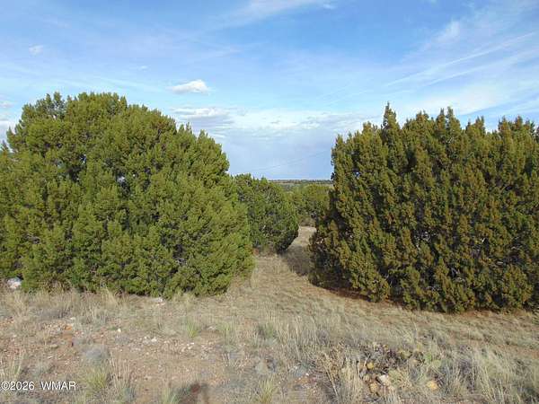 0.52 Acres of Residential Land for Sale in Concho, Arizona