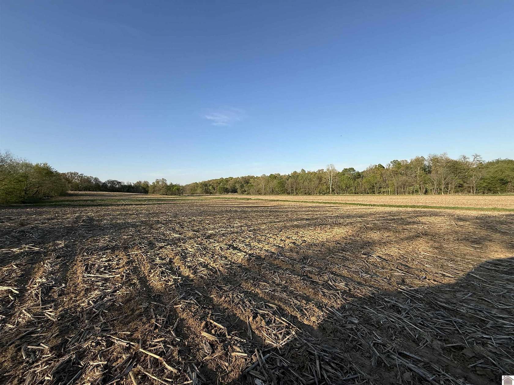 18.8 Acres of Agricultural Land for Sale in Mayfield, Kentucky