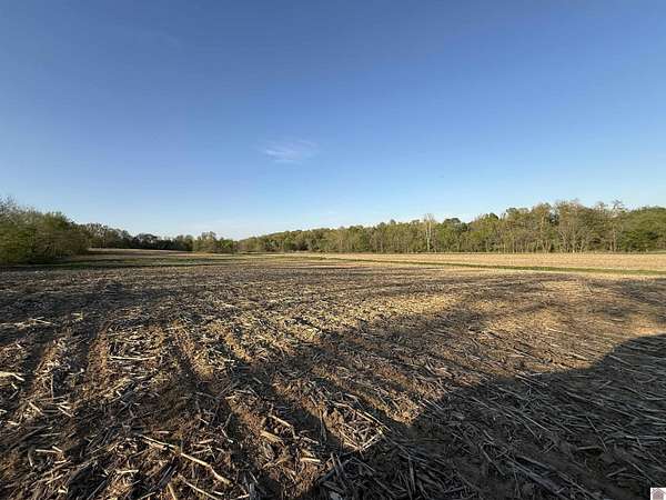 18.8 Acres of Land for Sale in Mayfield, Kentucky