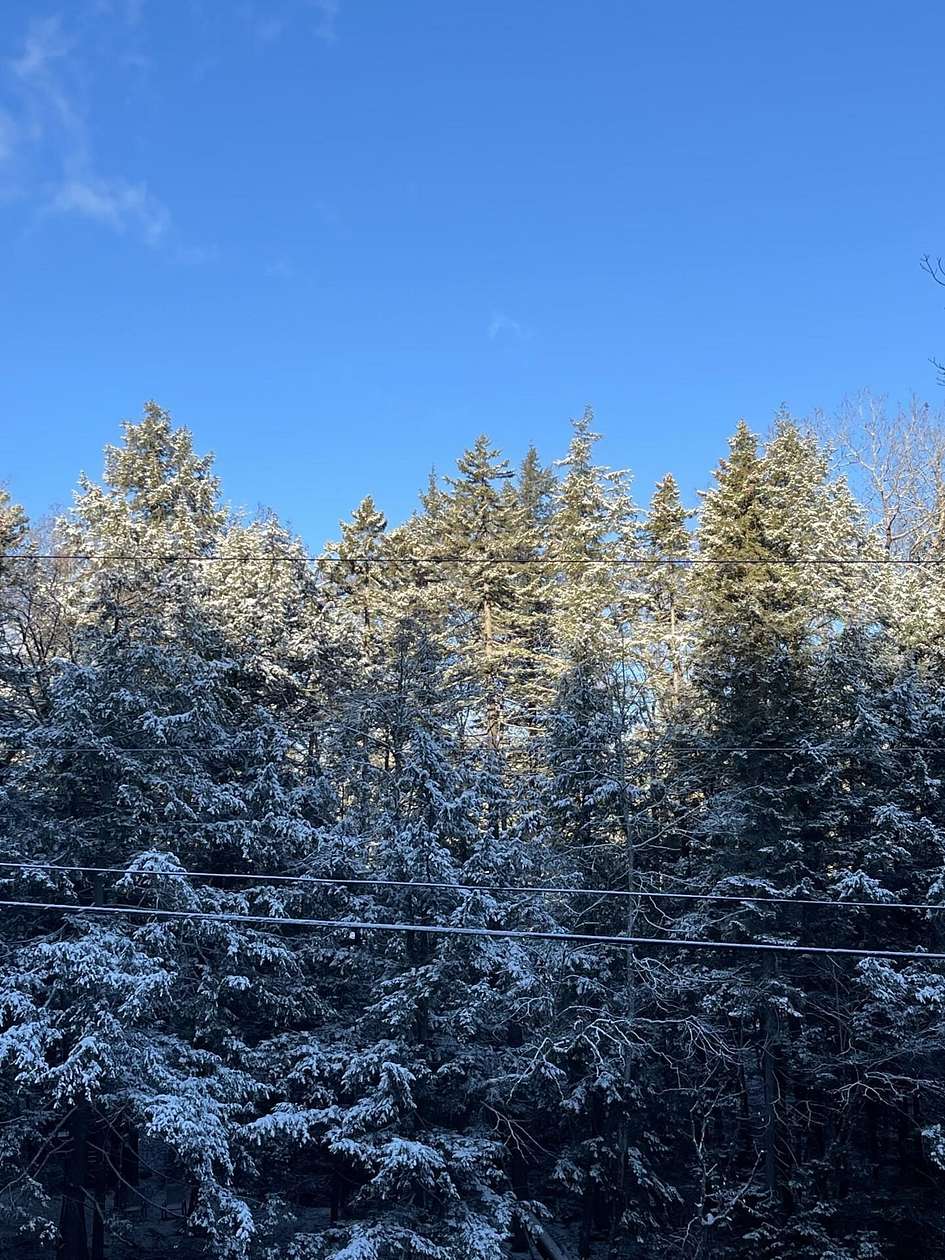 1.77 Acres of Residential Land for Sale in Stratton, Vermont