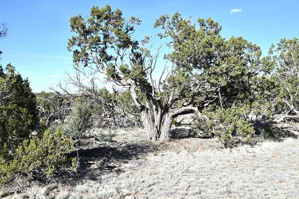 28.5 Acres of Land for Sale in Williams, Arizona