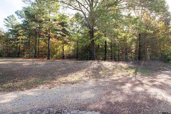 23.7 Acres of Recreational Land for Sale in Bullard, Texas
