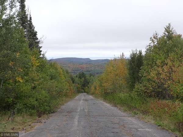 100 Acres of Land for Sale in Finland, Minnesota