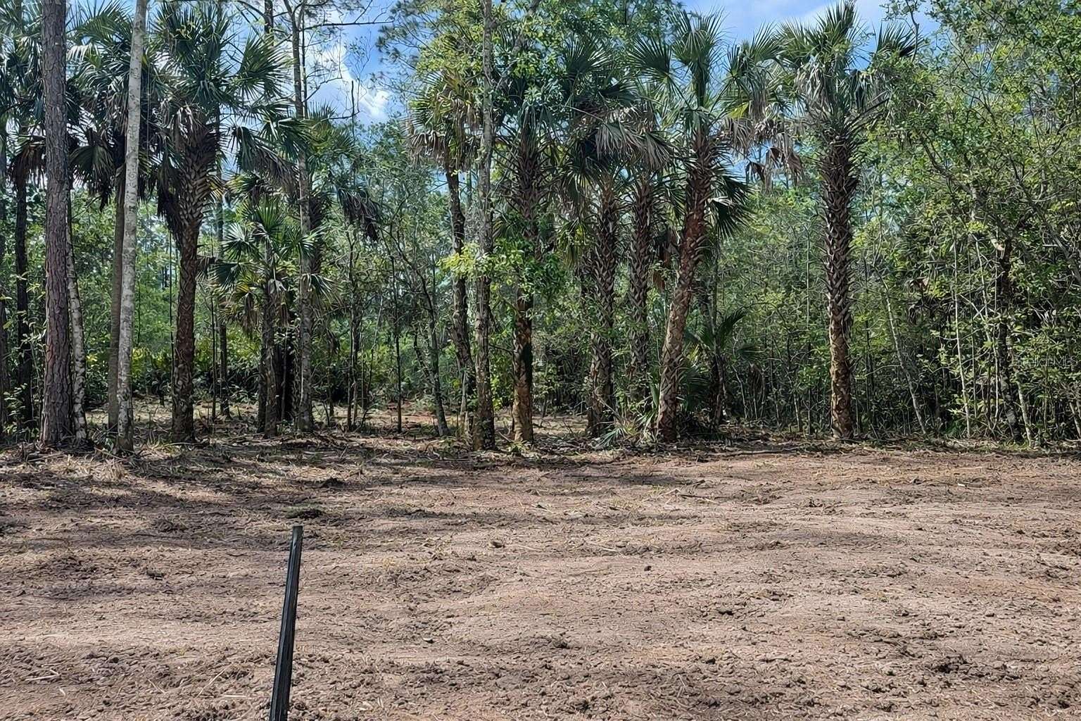 1.14 Acres of Land for Sale in Bunnell, Florida