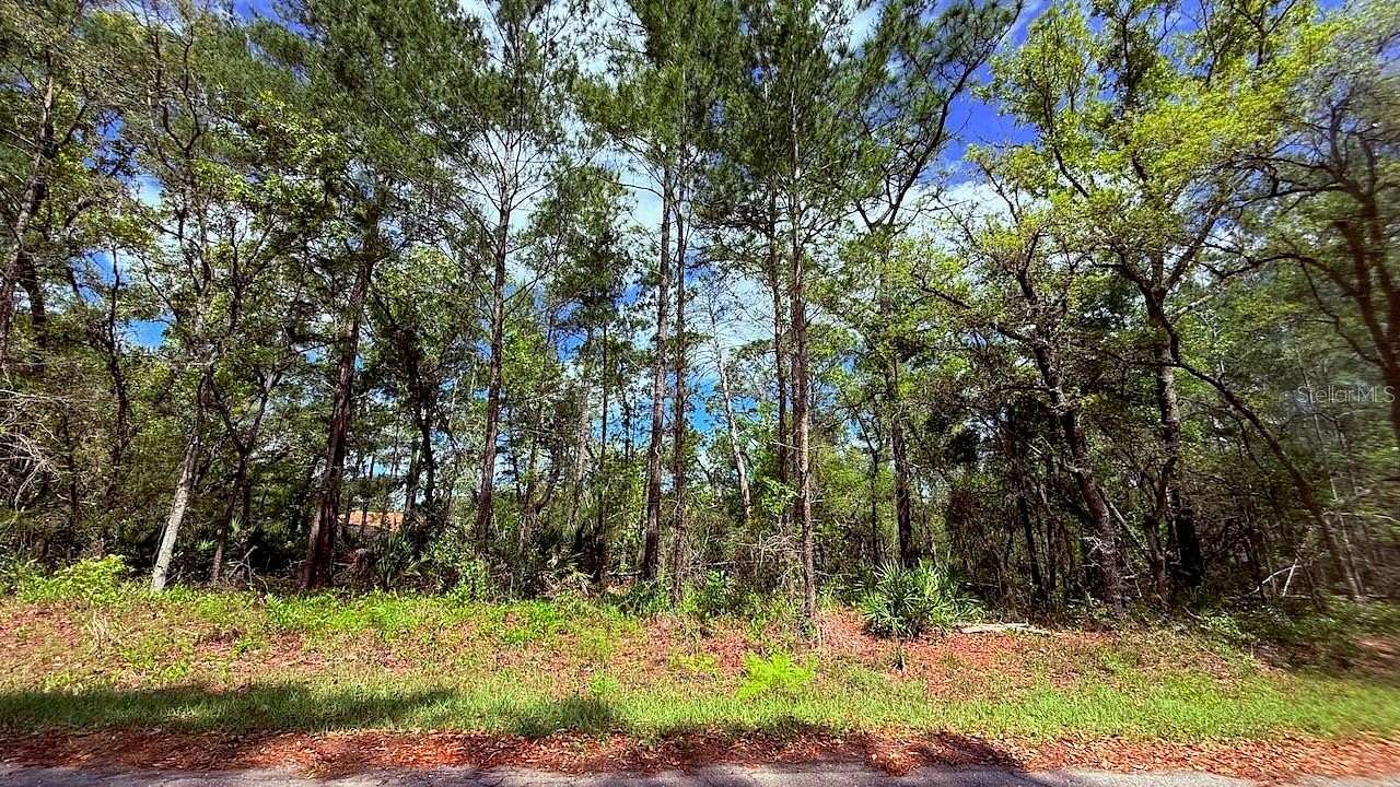 0.27 Acres of Residential Land for Sale in Ocklawaha, Florida