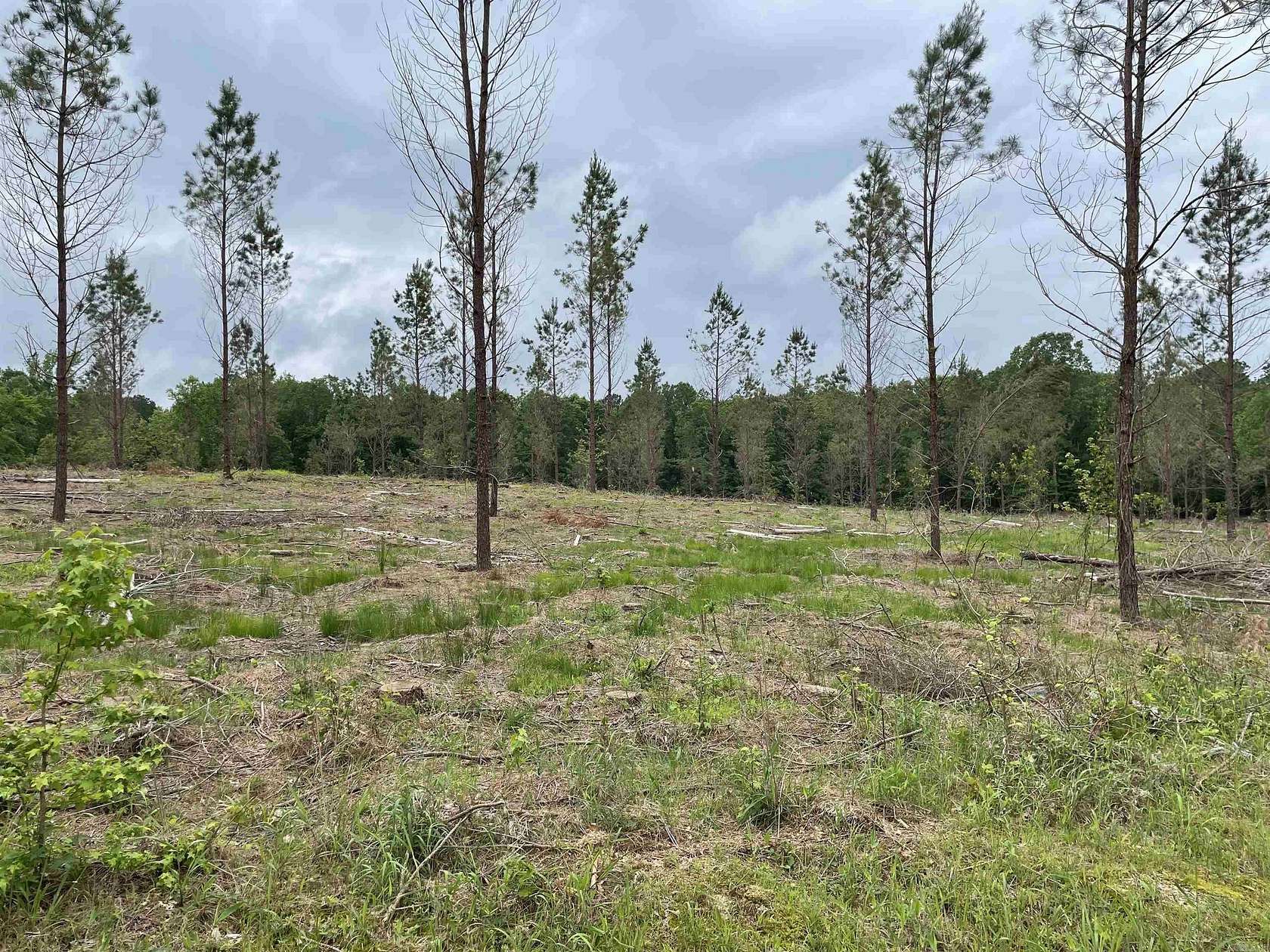 5 Acres of Residential Land for Sale in Sheridan, Arkansas