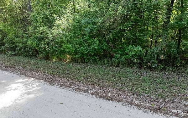 0.81 Acres of Residential Land for Sale in Fort White, Florida