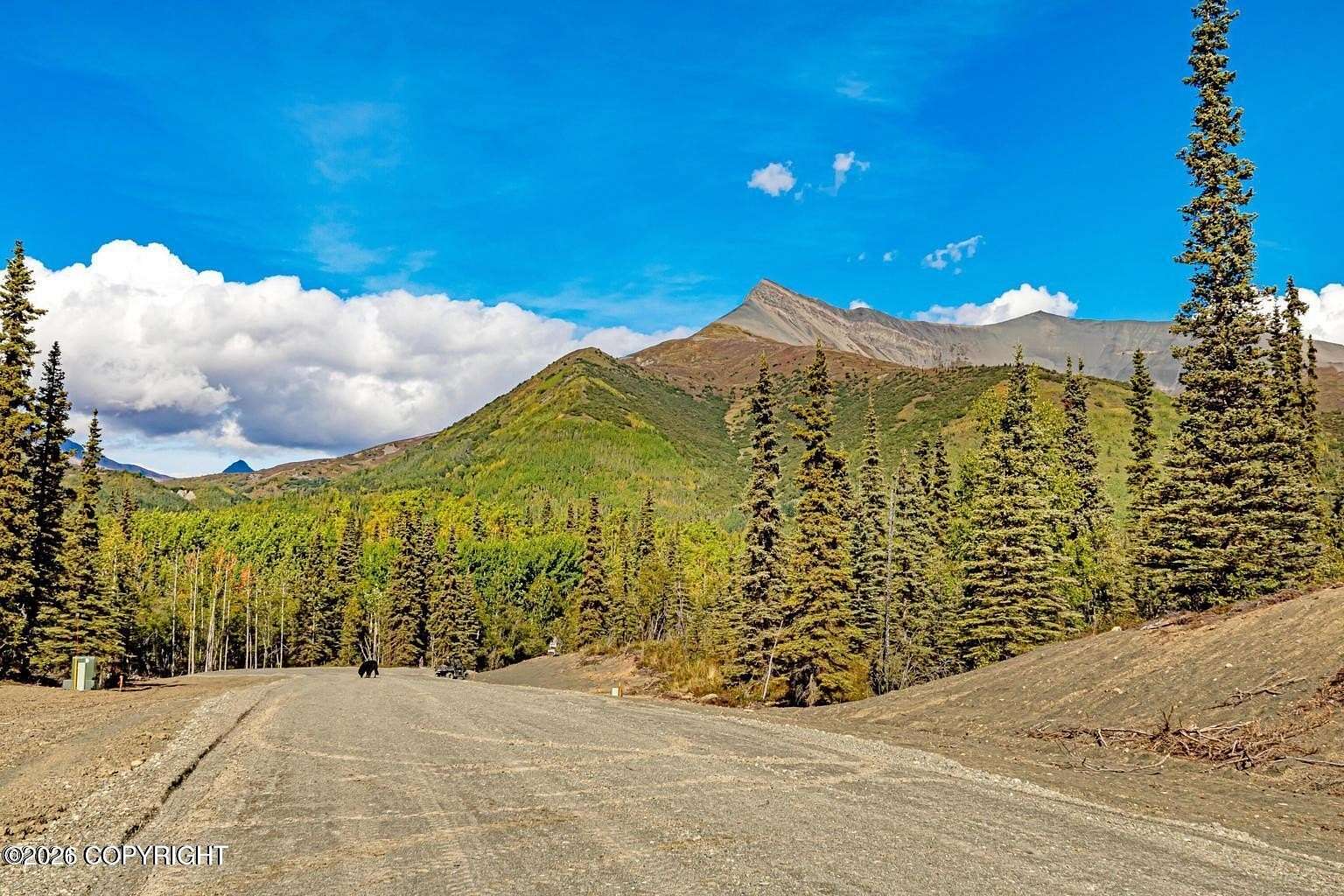 10 Acres of Land for Sale in Chickaloon, Alaska
