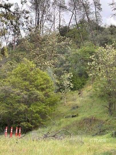 2 Acres of Improved Mixed-Use Land for Sale in Junction City, California