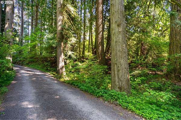 1.79 Acres of Land for Sale in Rhododendron, Oregon