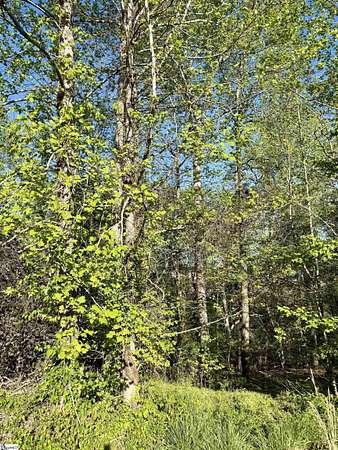 0.35 Acres of Residential Land for Sale in Moore, South Carolina