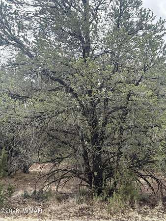 1.24 Acres of Residential Land for Sale in Vernon, Arizona