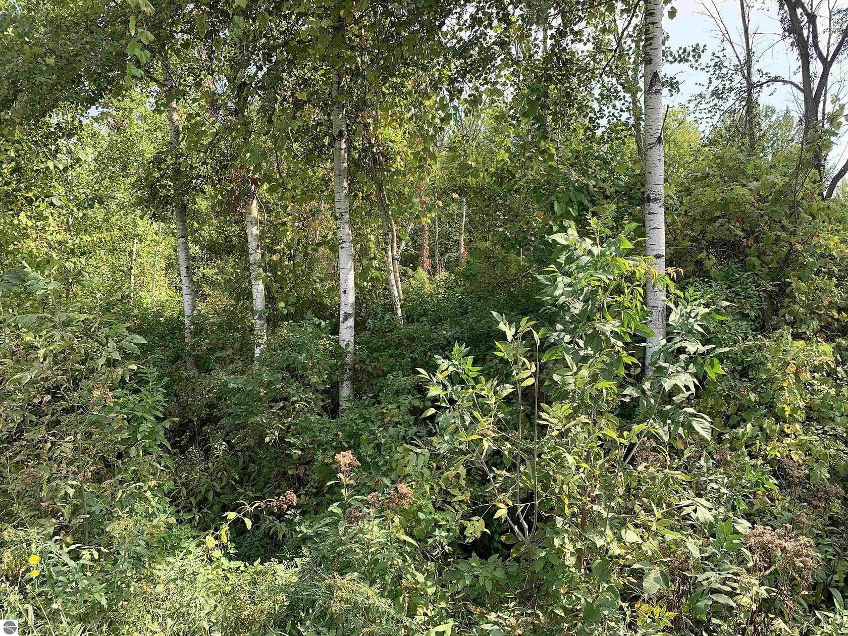 4.58 Acres of Commercial Land for Sale in Standish, Michigan