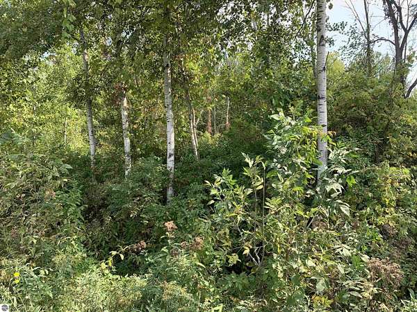 4.58 Acres of Commercial Land for Sale in Standish, Michigan