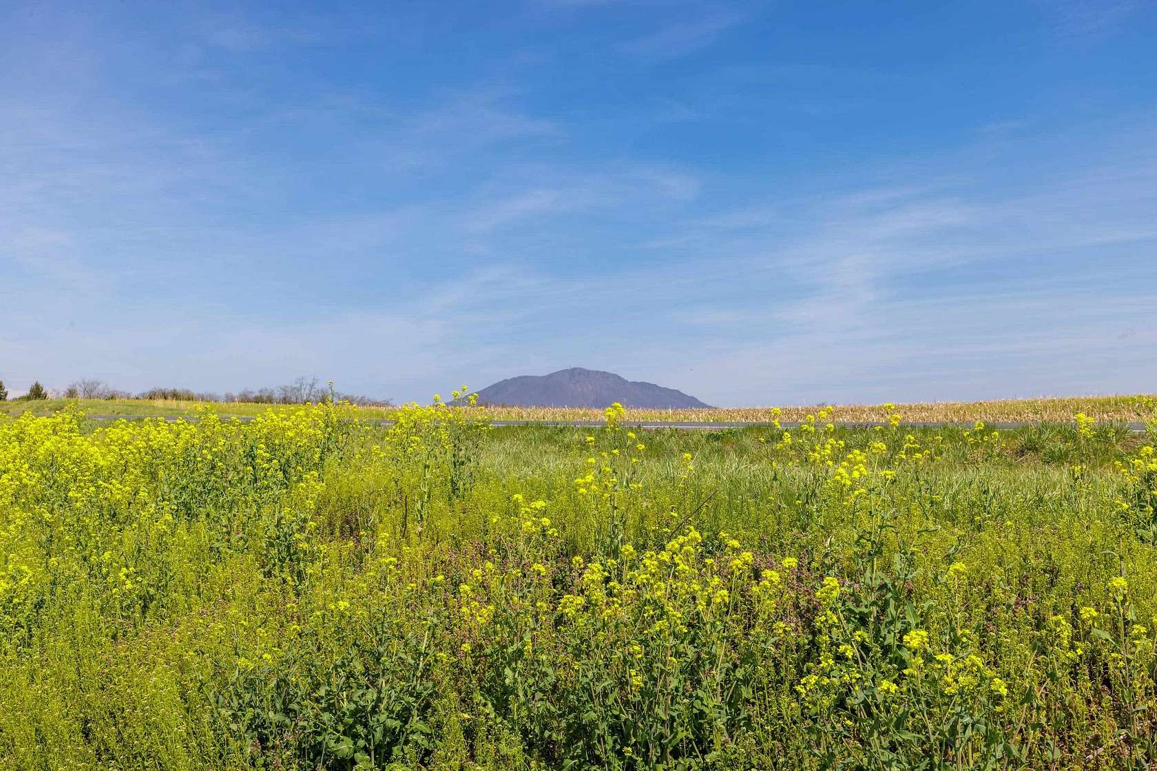 3.64 Acres of Agricultural Land for Sale in Port Republic, Virginia